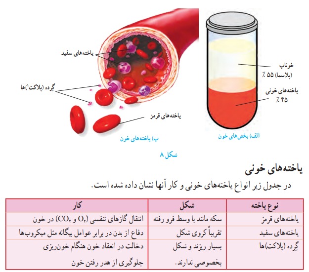 ترکیبات خون - سلول‌های خونی 